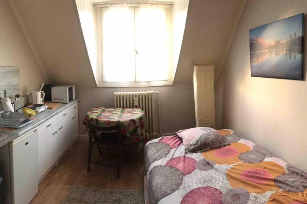 Studio Saint-Andre Chambéry Buitenkant foto